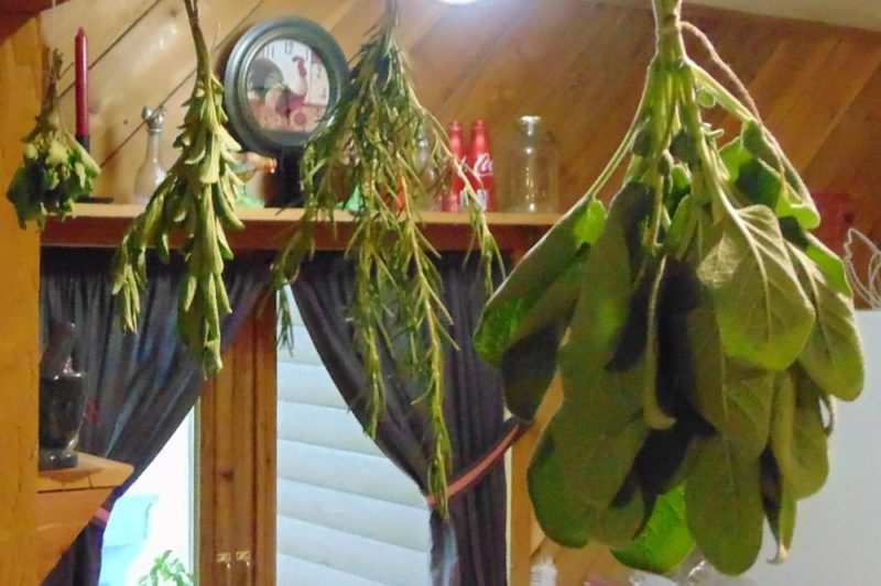 Ways to Dry and Store Herbs