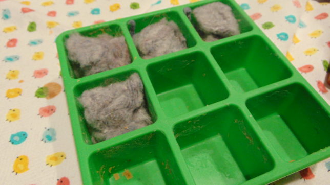 Lint in silicone tray