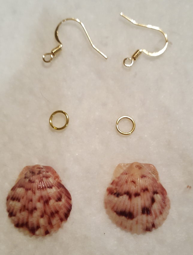 Seashell earring parts