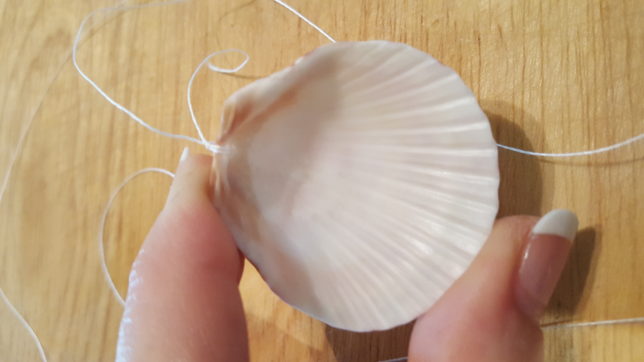 Seashell with complete loop