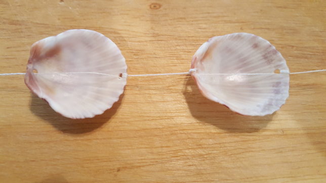 Seashells on a string