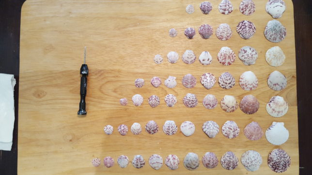 Seashells on cutting board
