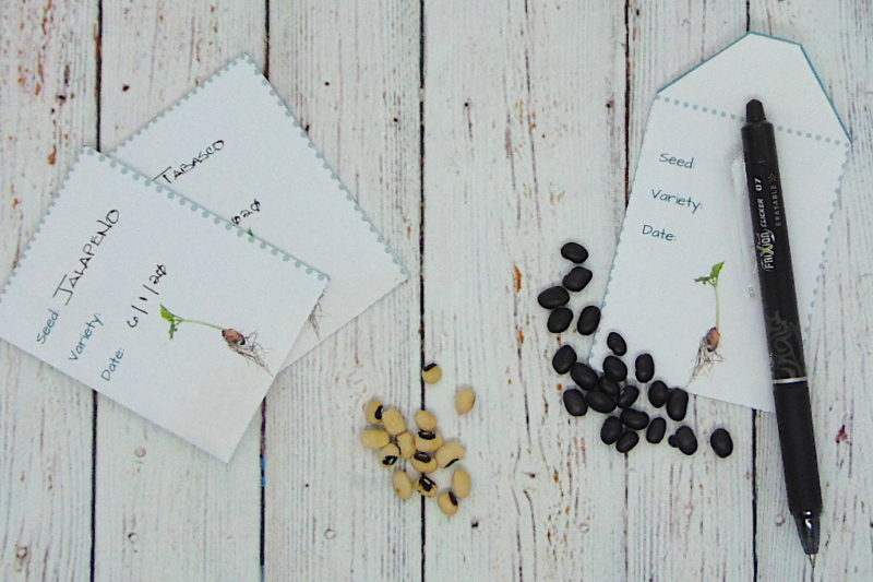 Seeds, seed envelopes and ink pen on rustic white board