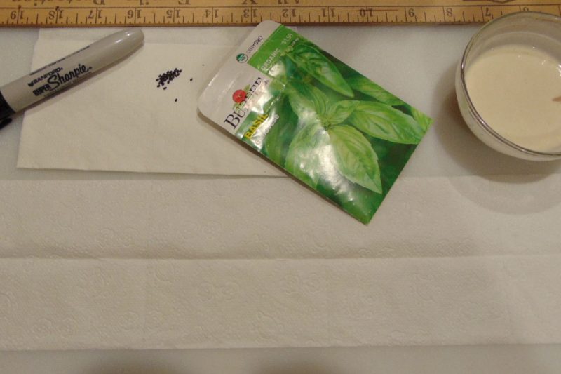 Seed tape with glue and seeds