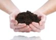 Hands holding dark soil